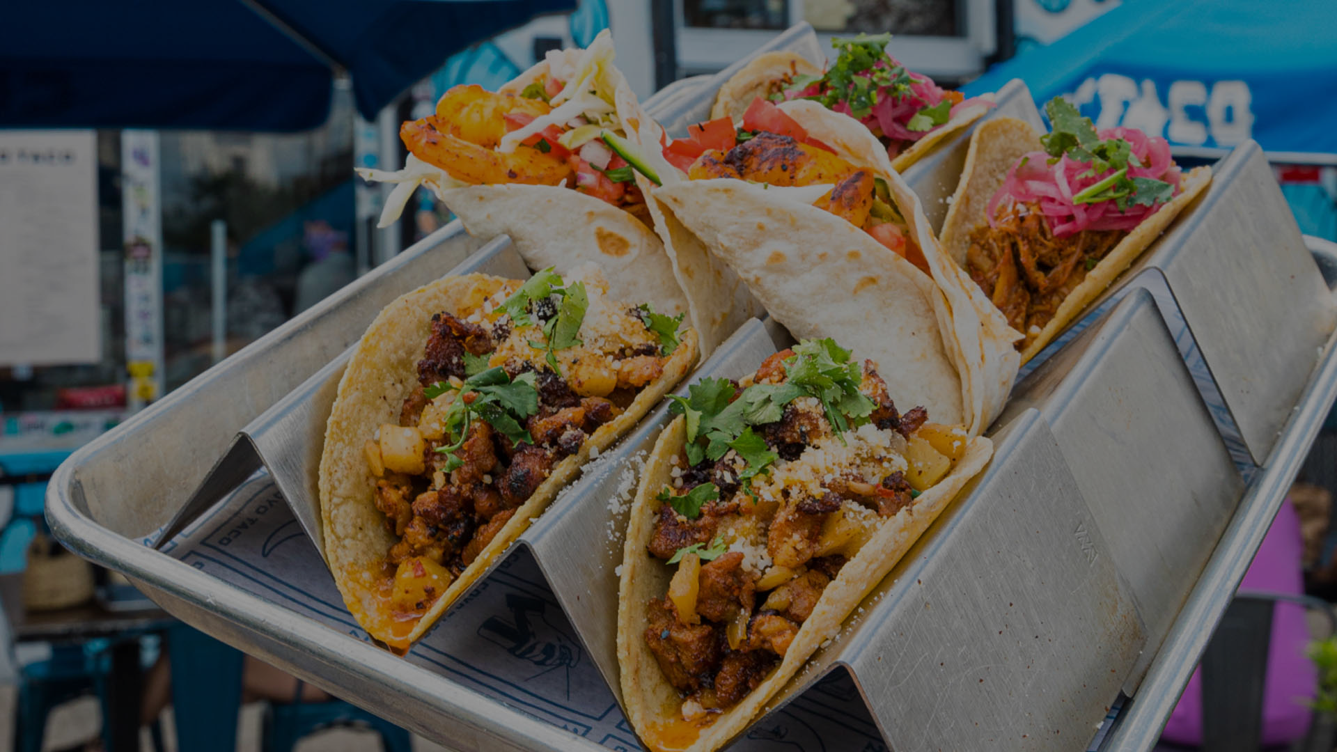 COYO TACO